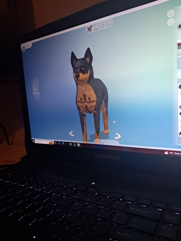 Avatar