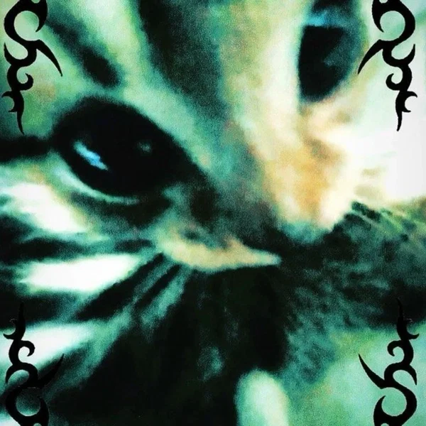 Profile of @ThatSillyCat