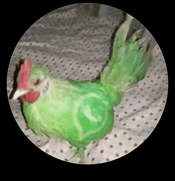 Avatar