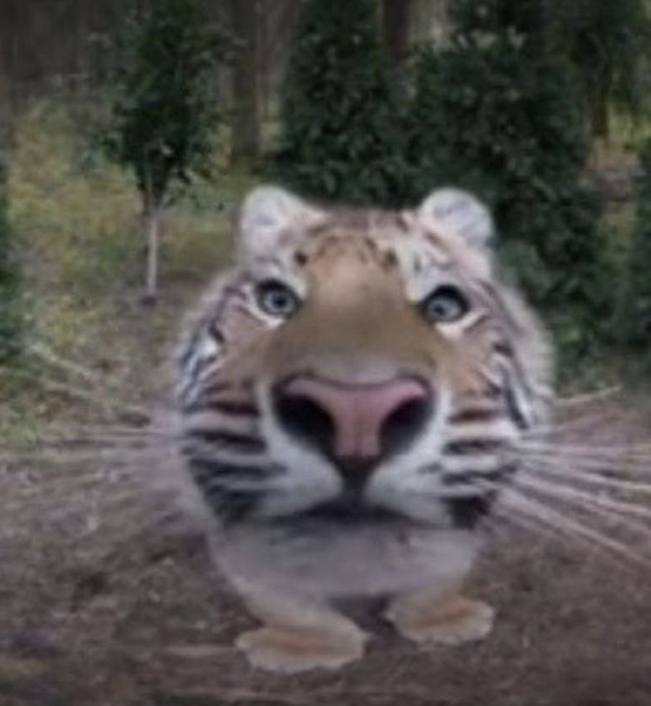 Avatar