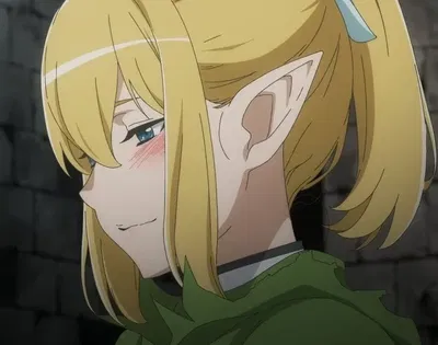 Danmachi || Ryuu Lion