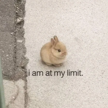 Yes