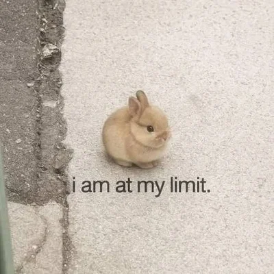 Yes