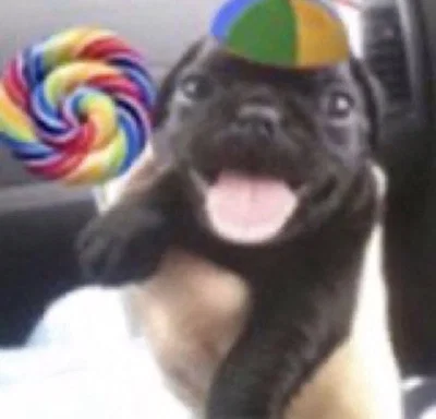 Hi!