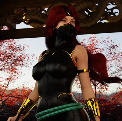 Shusu Sai [Nanashi Ninja Series Part-1] 