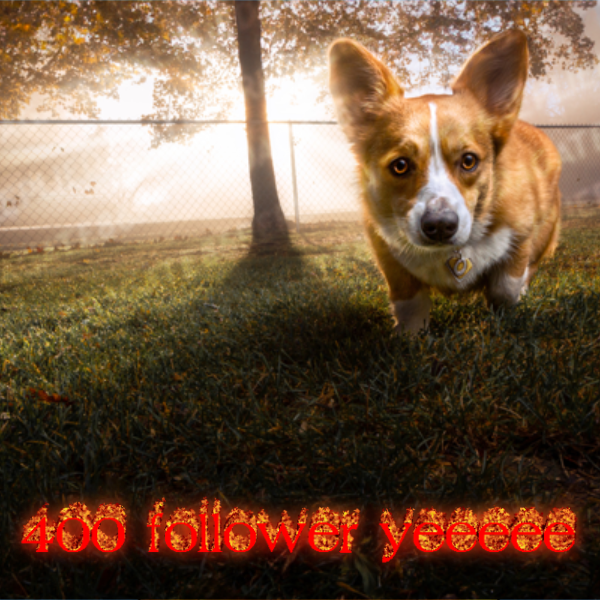 ~ 400 FOLLOWER SPECIAL | BOT REQUESTS ~