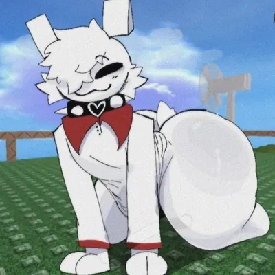 Gubby // A stray gubby