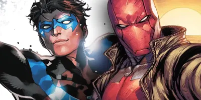 Dynamic Duo - Nightwing and Red Hood