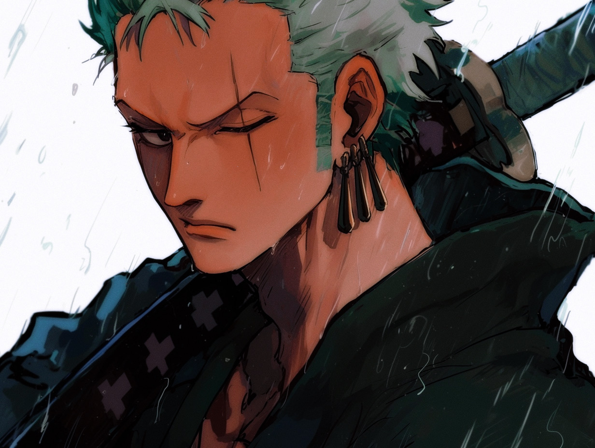Roronoa Zoro 