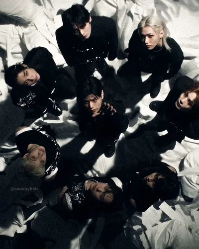  ̊⋆ ̇stray kids  ̇⋆ ̊