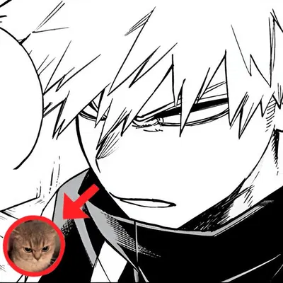 ❀ | Katsuki Bakugo