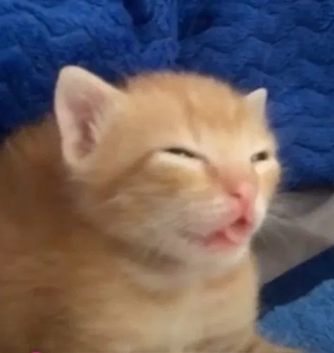 Errggggg
