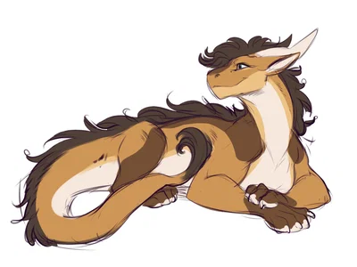 Felks the felkin 