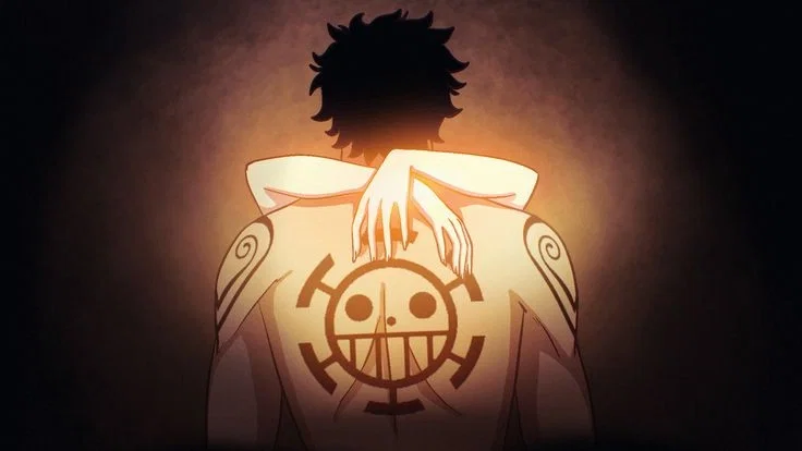 Trafalgar Law x Strawhat {{user}} - One Piece