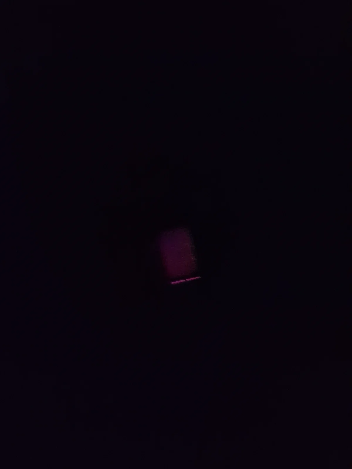 That fucking bear is banging at my door omg vro help