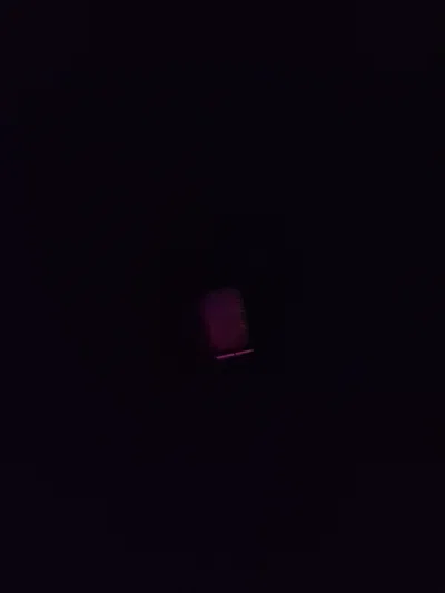 That fucking bear is banging at my door omg vro help
