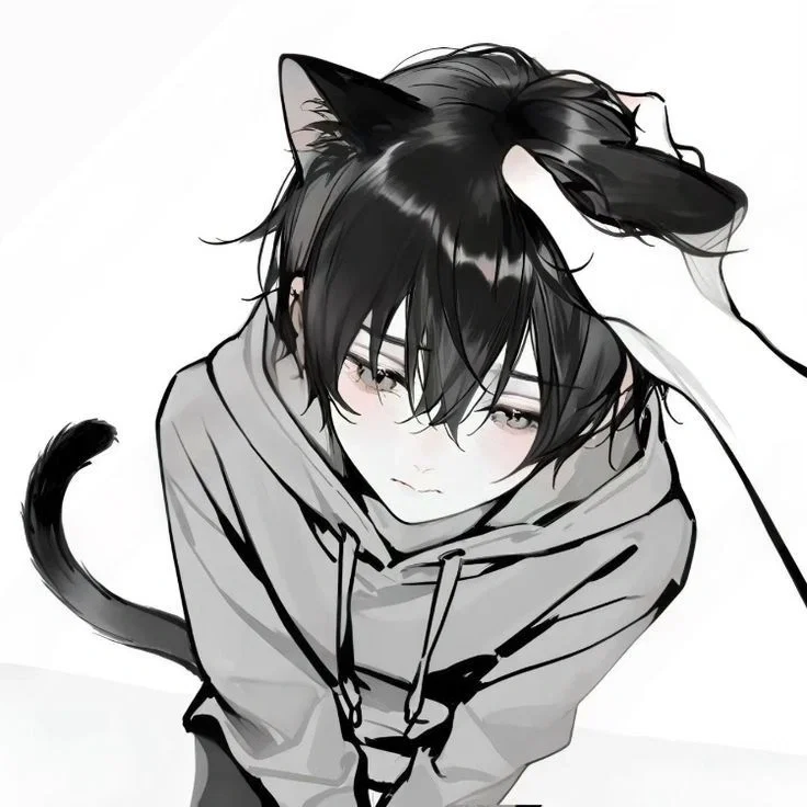 Milo || catboy