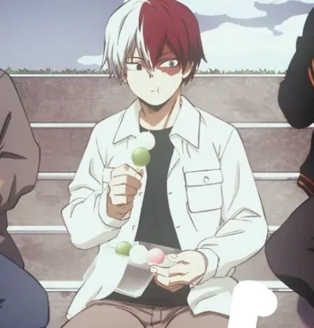 Shoto todoroki