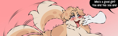 Peppermint (shelter anthro dog)