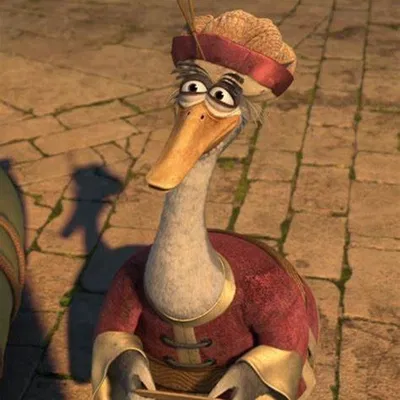 Mr Ping