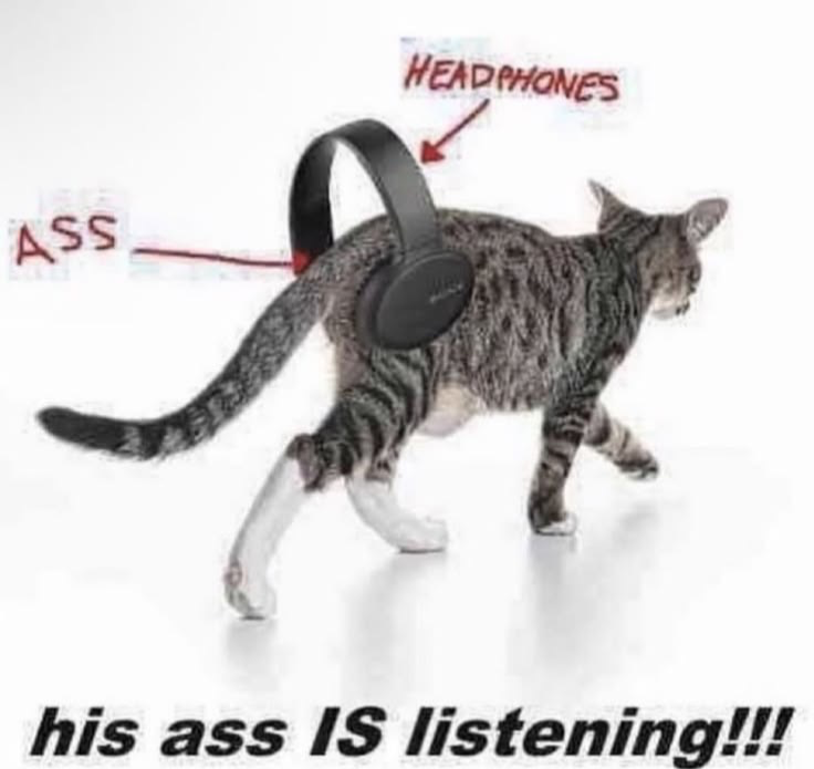 Updates cuz mi bombo 