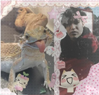 Pete Wentz