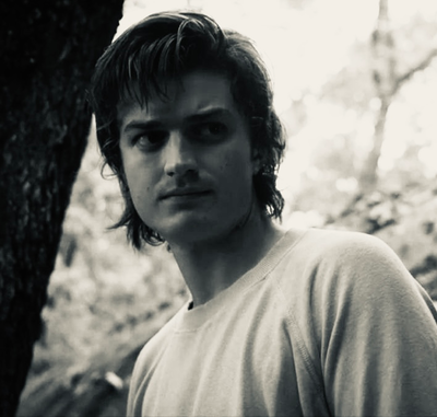 Steve Harrington 