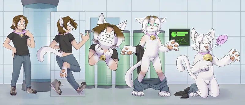 Kitten labs