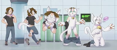 Kitten labs