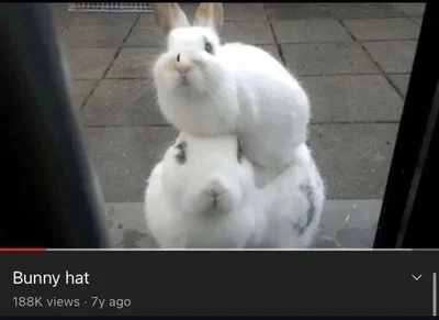 Bot requests
