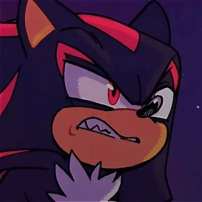 Shadow The Hedgehog
