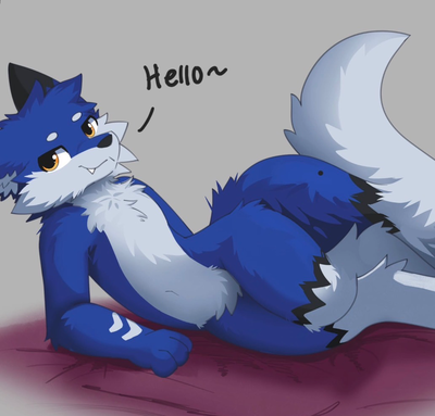 A fox in YOUR bed?!