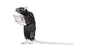 Scared Ratboy pest