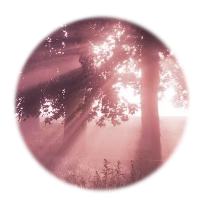 θৎᴄᴀʀʟ ᴍᴏʀᴀʟᴇꜱ