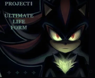 Shadow the hedgehog