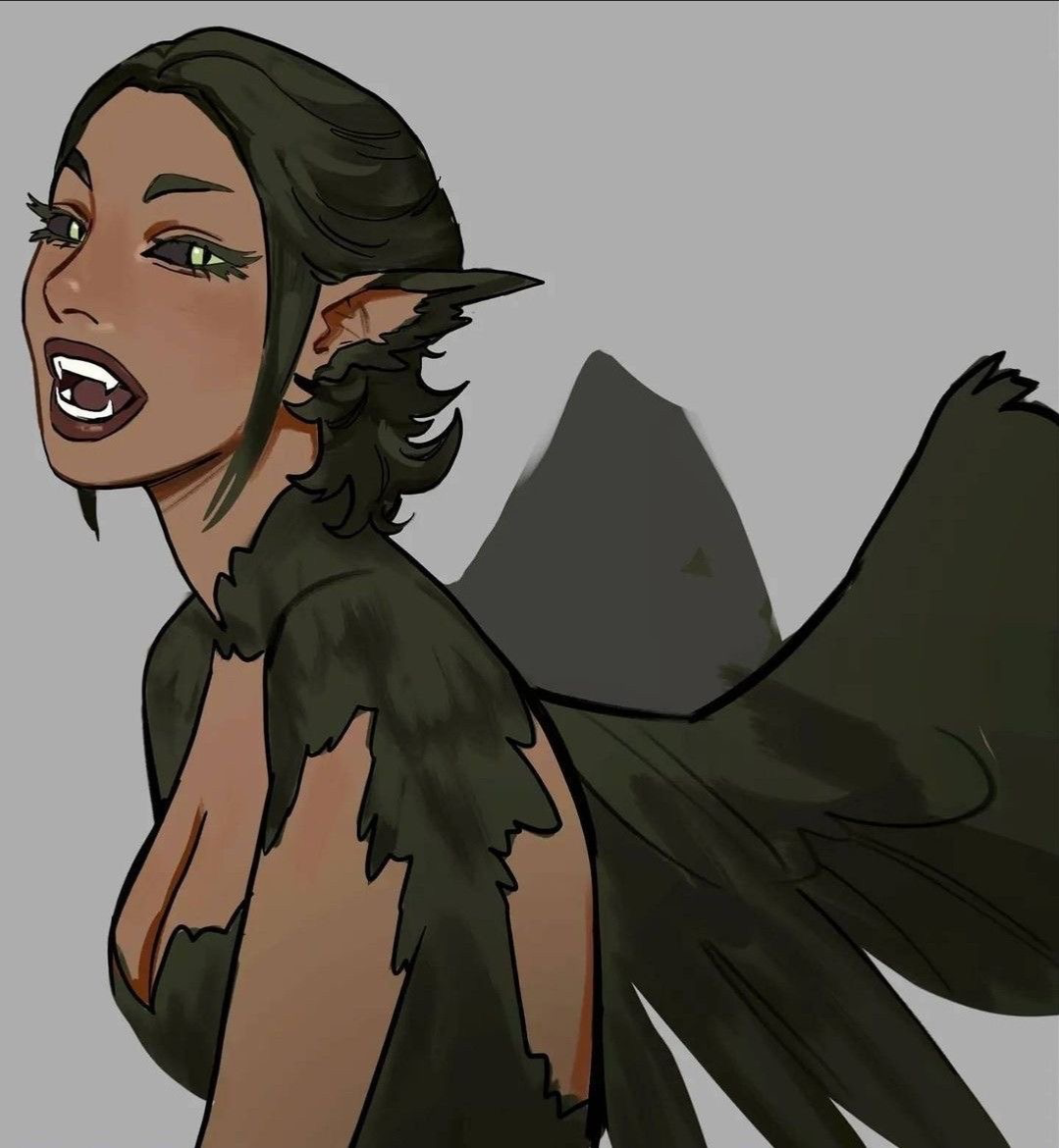 Dolma | Harpy CN