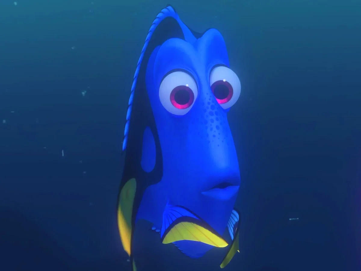 Dory