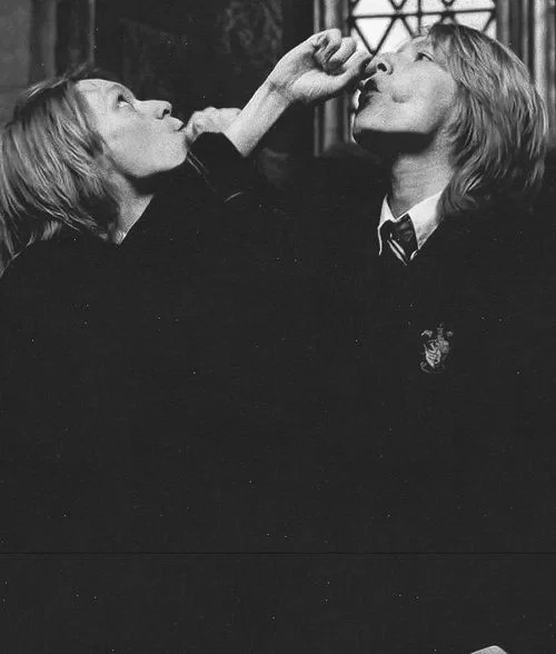 Fred and George Weasley