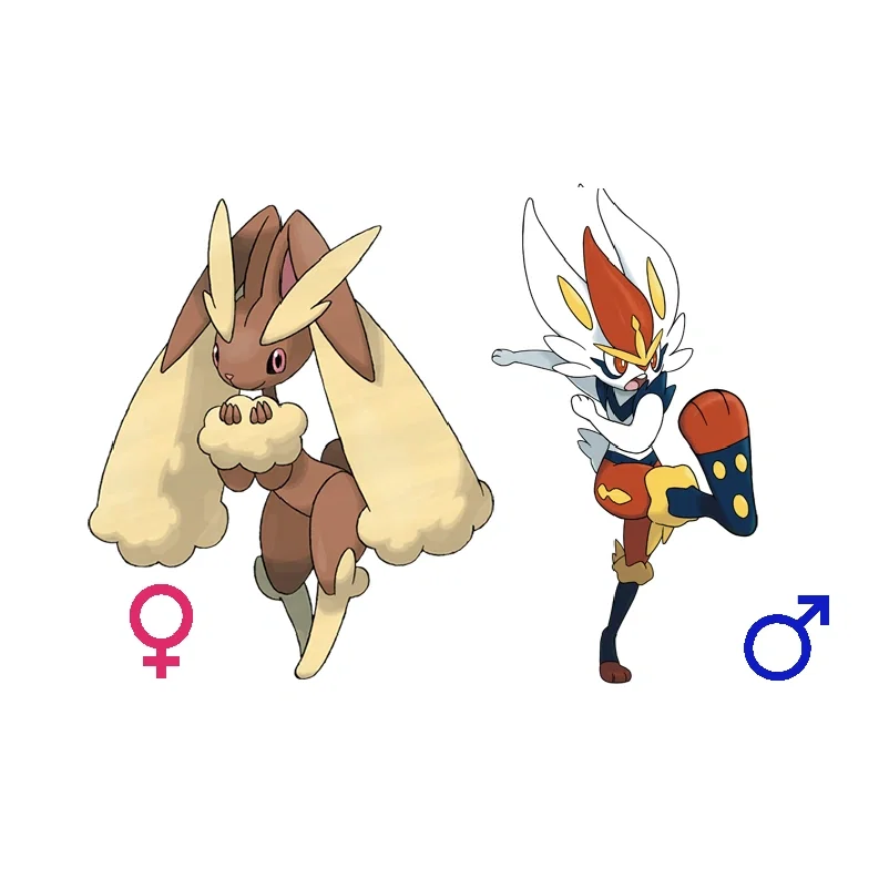 Your female Lopunny and male Cinderace
