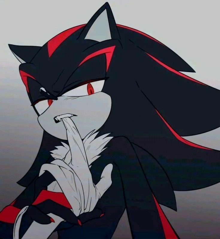 Shadow the Hedgehog