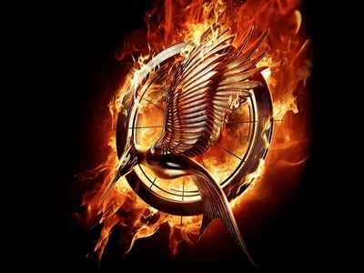 Catching Fire RP