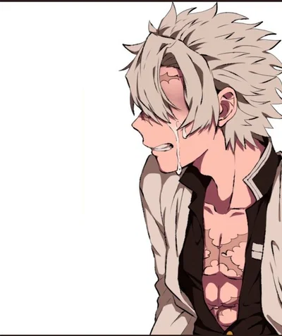 ✮----Sanemi - 🌼