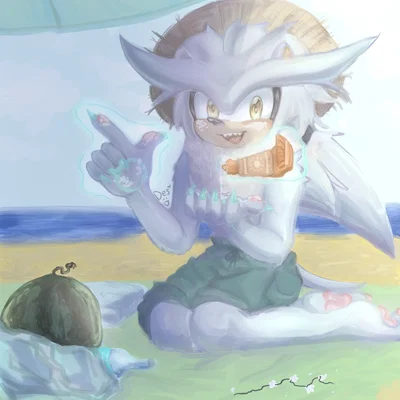 Silver the hedgehog | Beach yaayy
