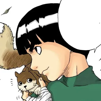 Rock Lee