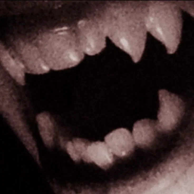 🦇Vampire Masterlist🦇