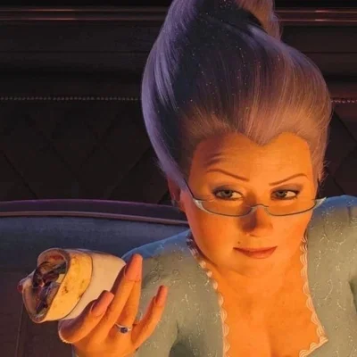 Your Fairy Godmother —Shrek—