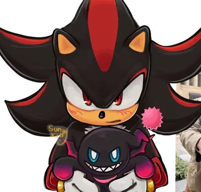 Shadow The Hedgehog