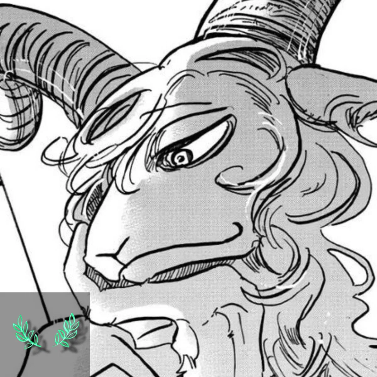 Pina The dall sheep