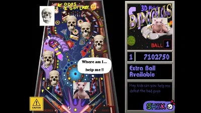 Bingus Pinball (Help!) 