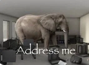Elephant in the room